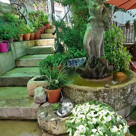 Casa Paco Vendégház El Bosque Kültér fotó